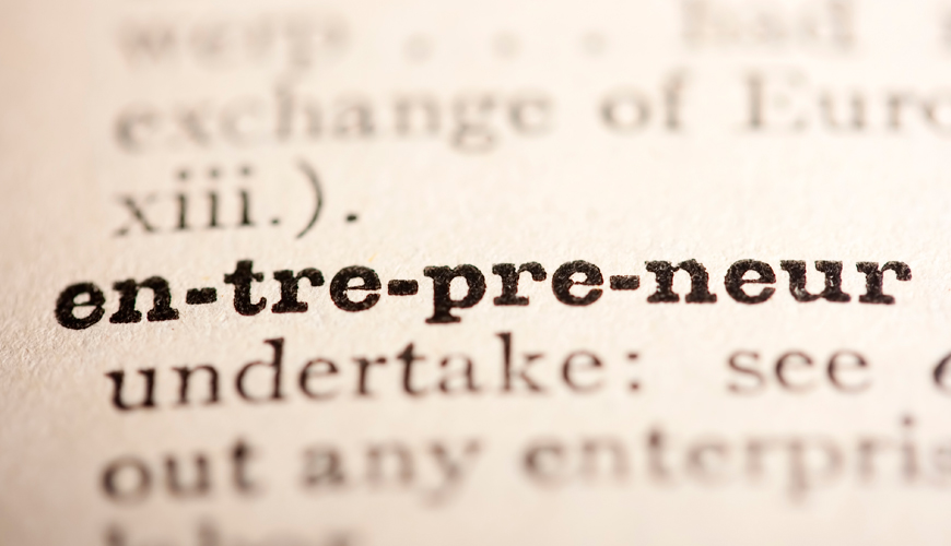 macro entrepreneurship definition