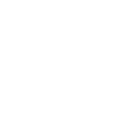 St. Vincent De Paul Georgia